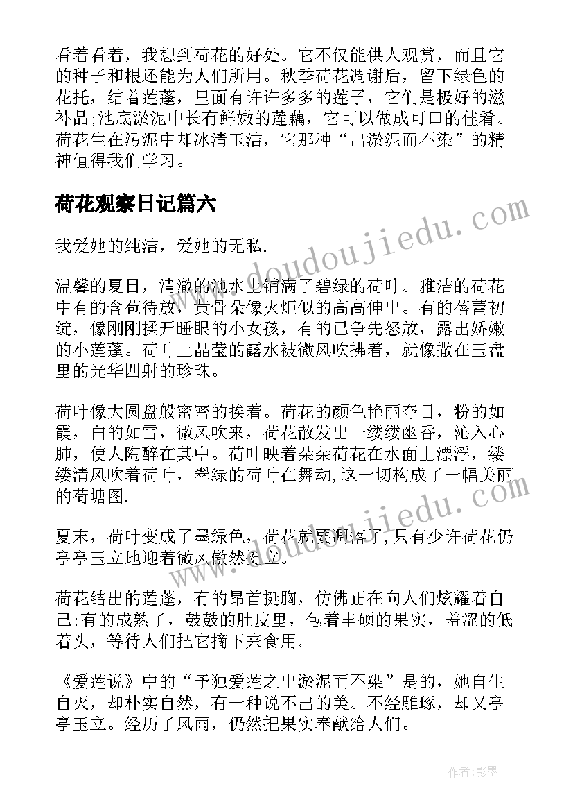 2023年荷花观察日记 级观察荷花的日记(精选8篇)