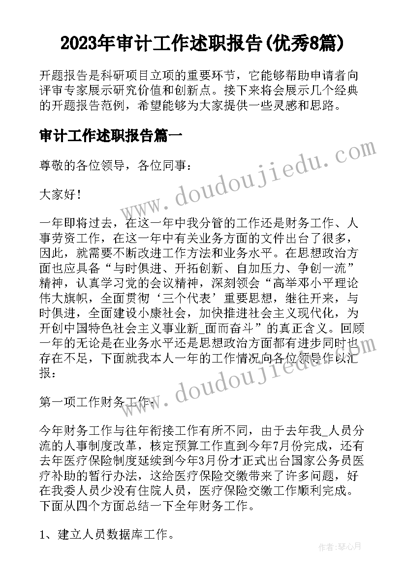 2023年审计工作述职报告(优秀8篇)