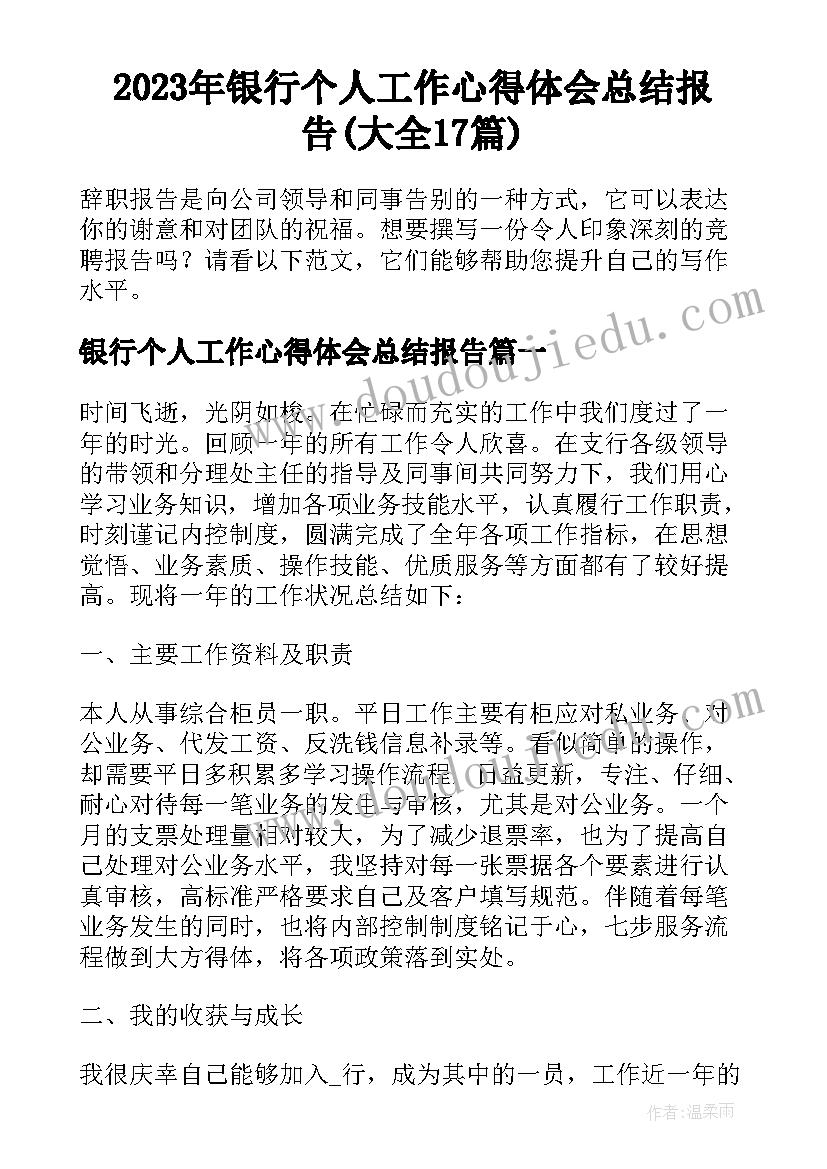 2023年银行个人工作心得体会总结报告(大全17篇)