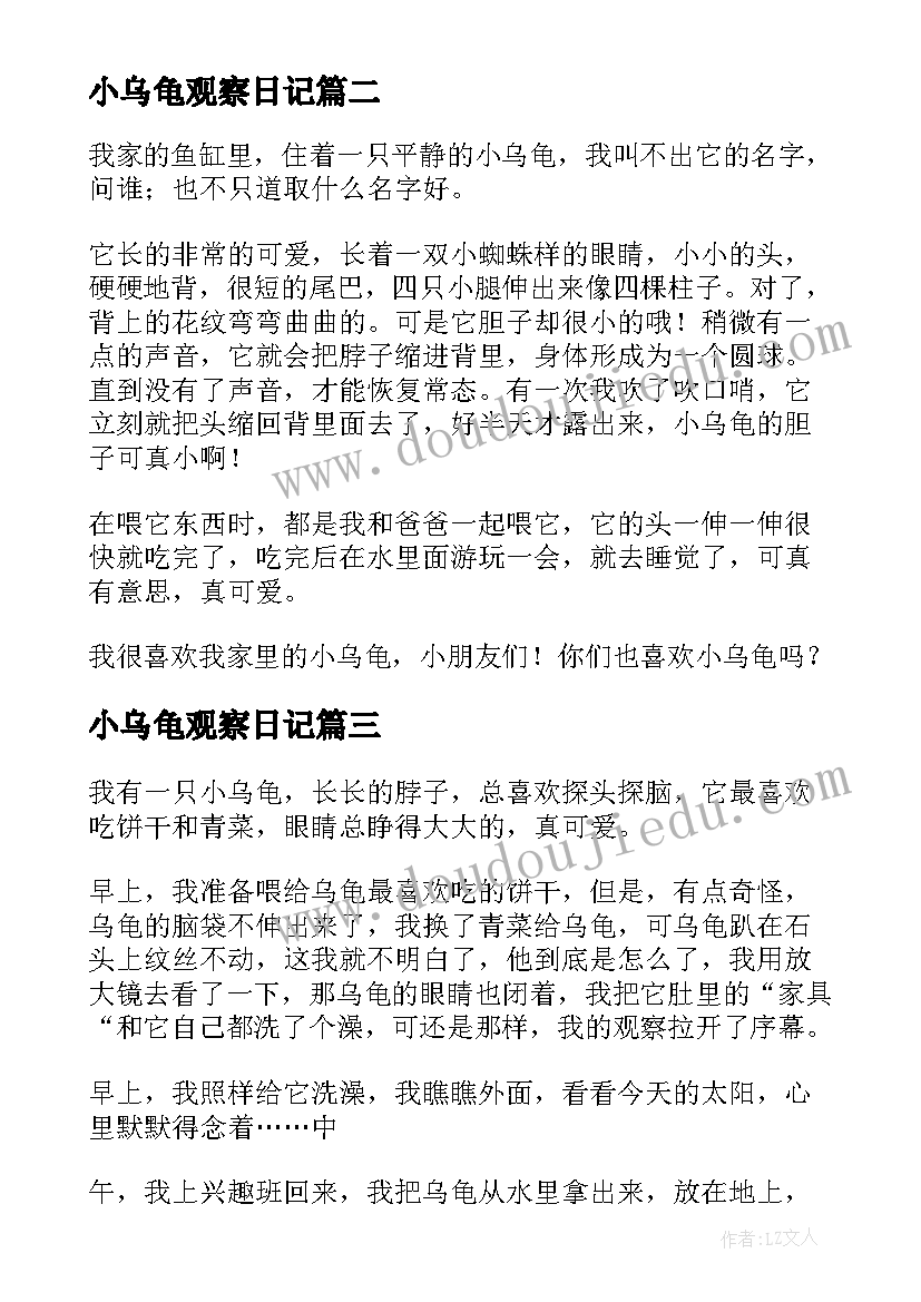 最新小乌龟观察日记(优质17篇)