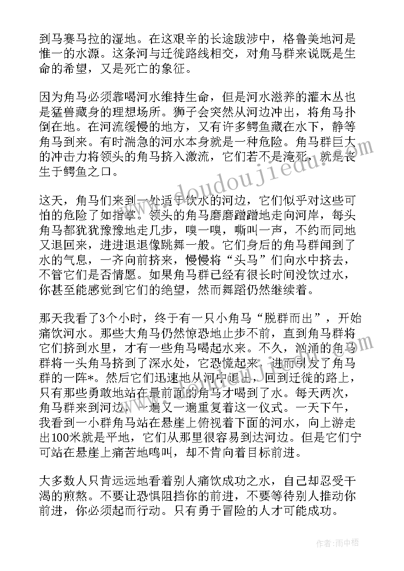 励志正能量故事及感悟短故事(模板8篇)