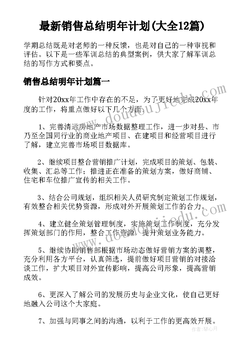 最新销售总结明年计划(大全12篇)