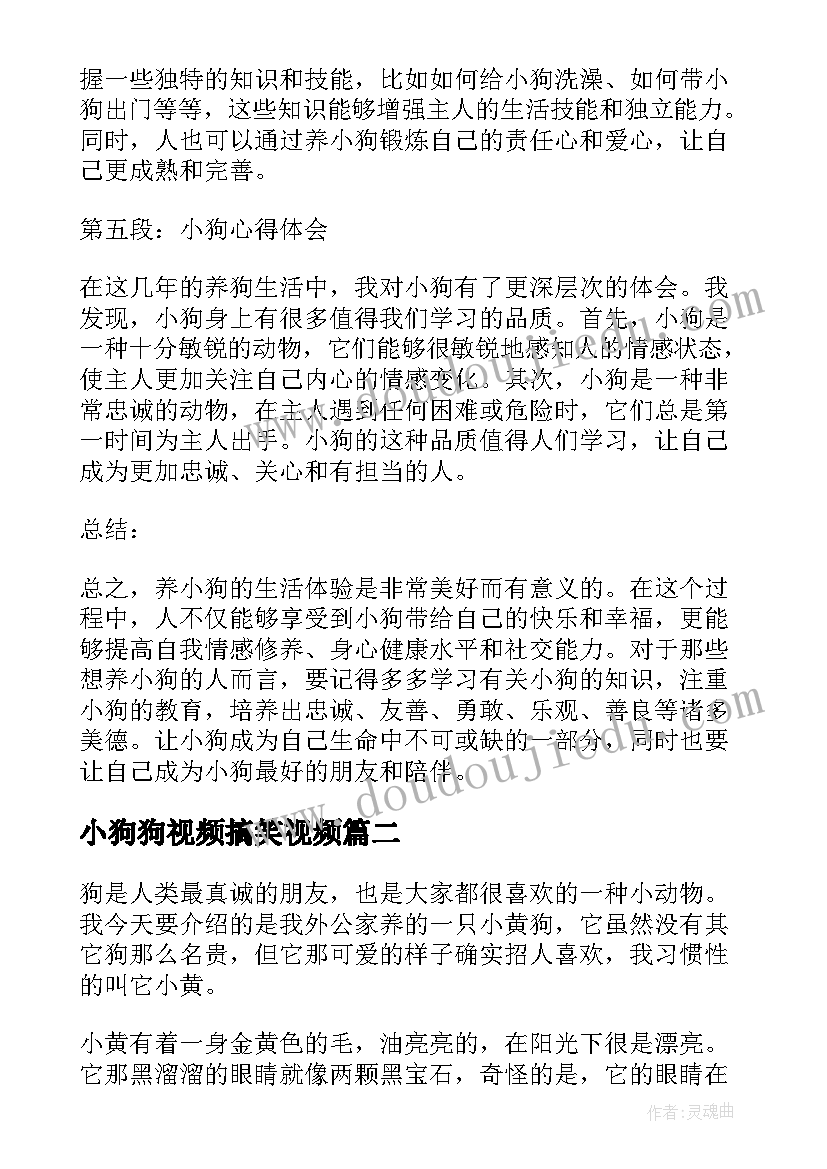 小狗狗视频搞笑视频 小狗心得体会(大全17篇)