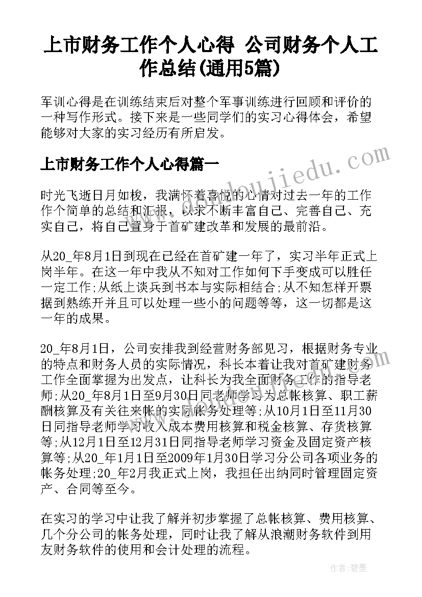 上市财务工作个人心得 公司财务个人工作总结(通用5篇)