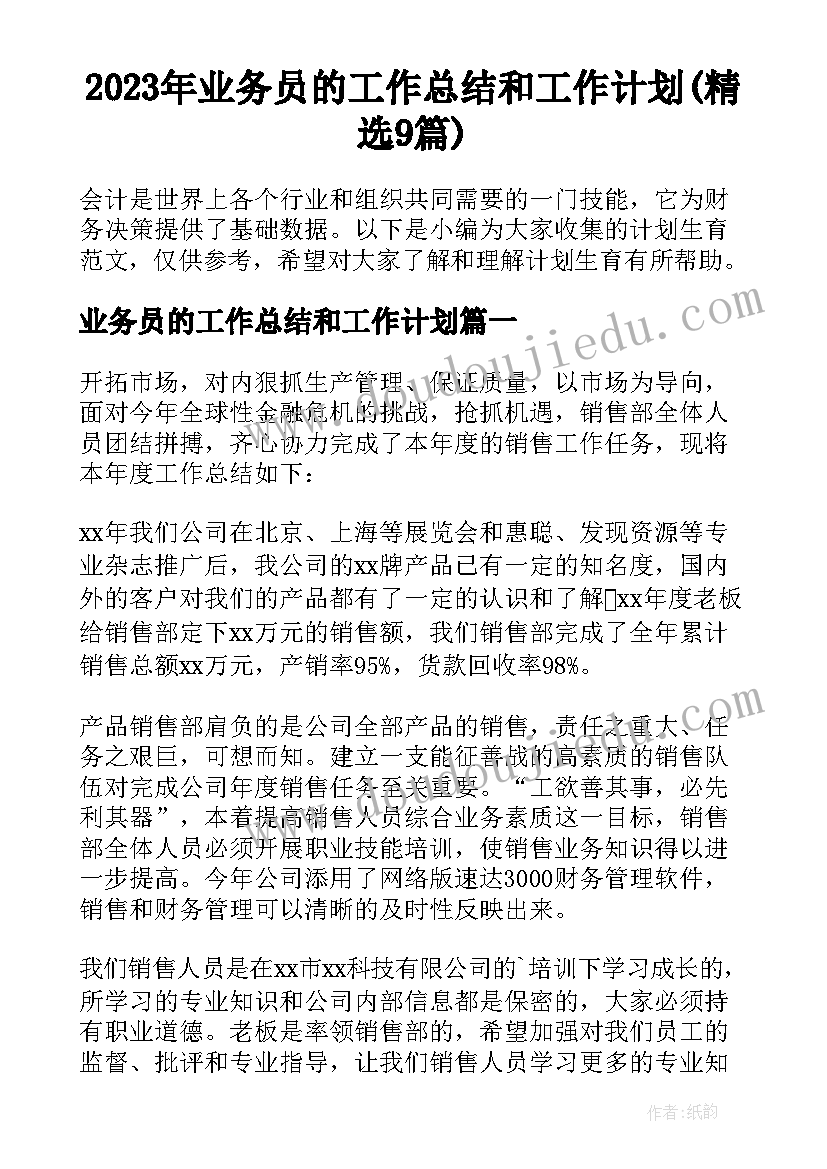 2023年业务员的工作总结和工作计划(精选9篇)