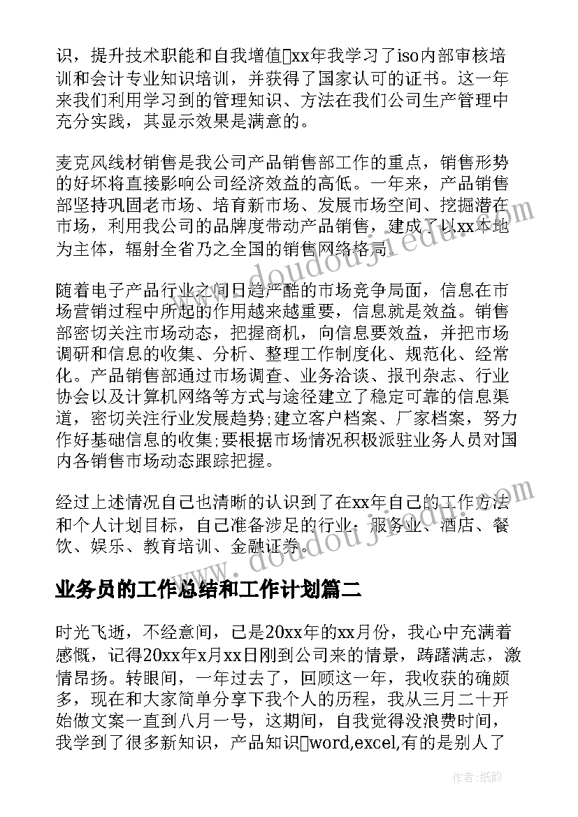 2023年业务员的工作总结和工作计划(精选9篇)