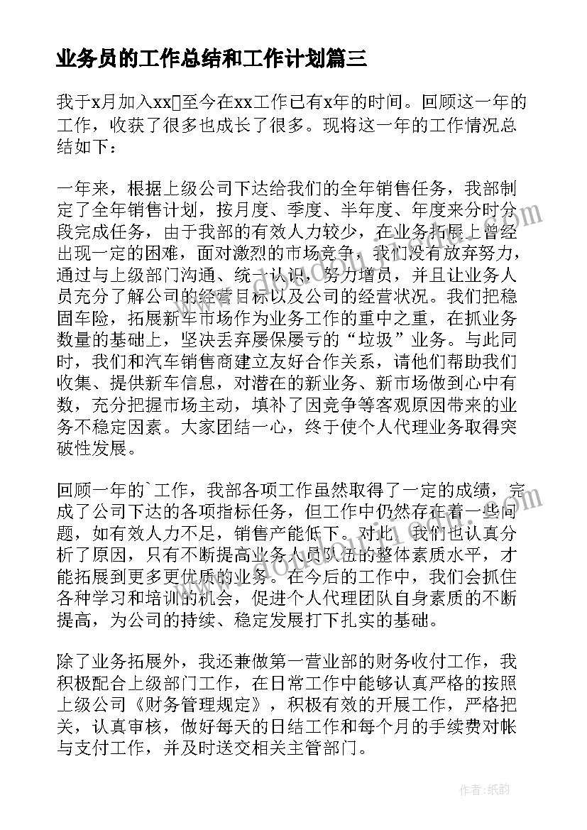 2023年业务员的工作总结和工作计划(精选9篇)