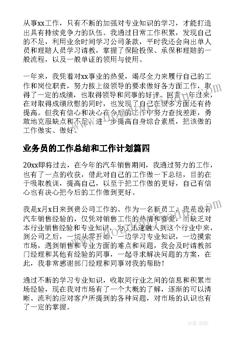 2023年业务员的工作总结和工作计划(精选9篇)