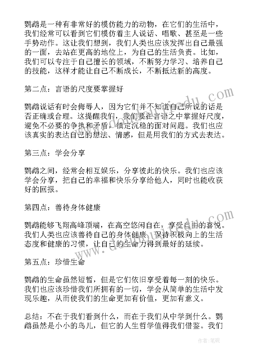 最新鹦鹉曲渔父 鹦鹉心得体会(优秀19篇)