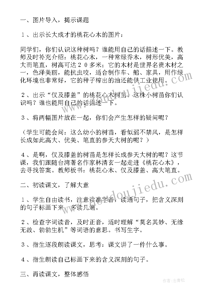 2023年桃花心木教案第一课时(大全8篇)