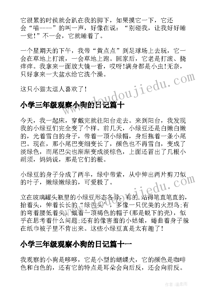 最新小学三年级观察小狗的日记(大全12篇)