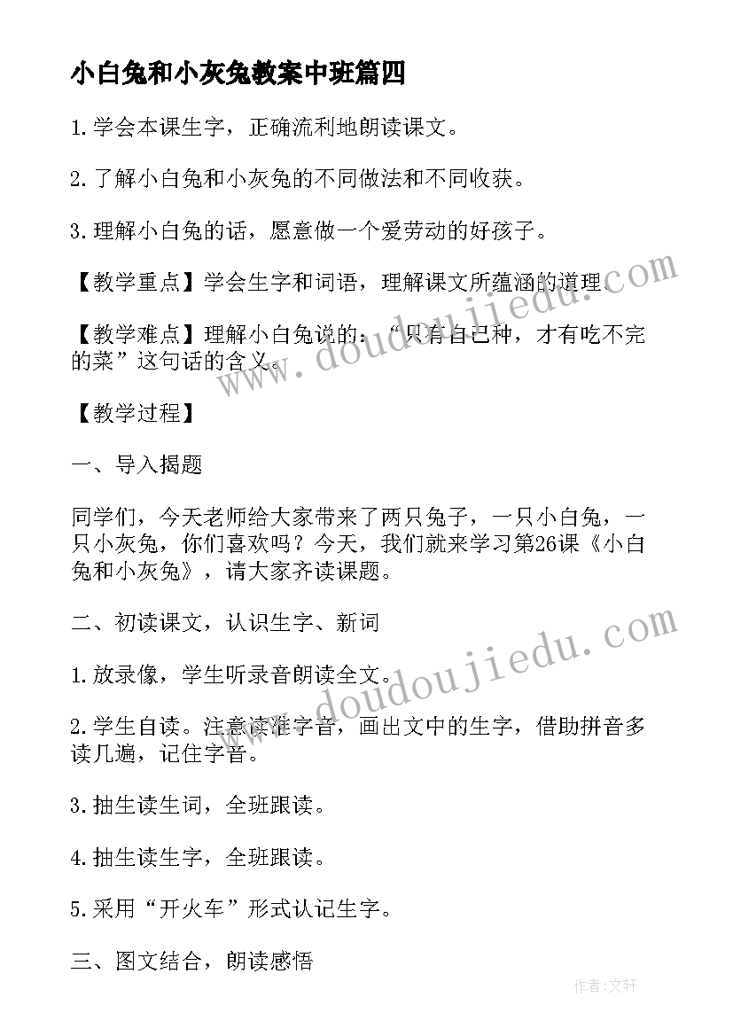 2023年小白兔和小灰兔教案中班 小白兔和小灰兔教案(实用16篇)