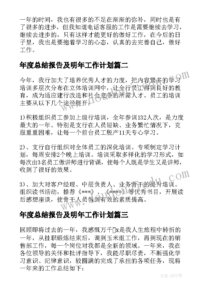 2023年年度总结报告及明年工作计划(模板15篇)