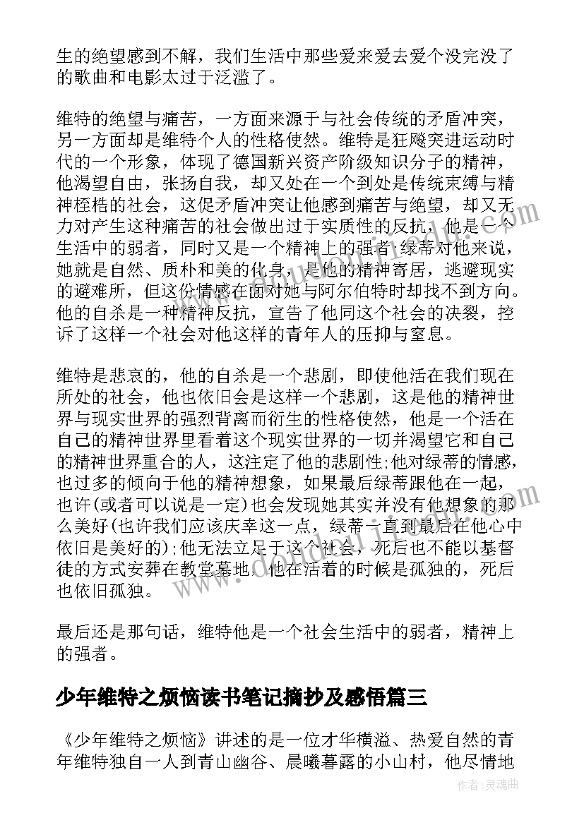 最新少年维特之烦恼读书笔记摘抄及感悟 少年维特的烦恼读书笔记(大全8篇)