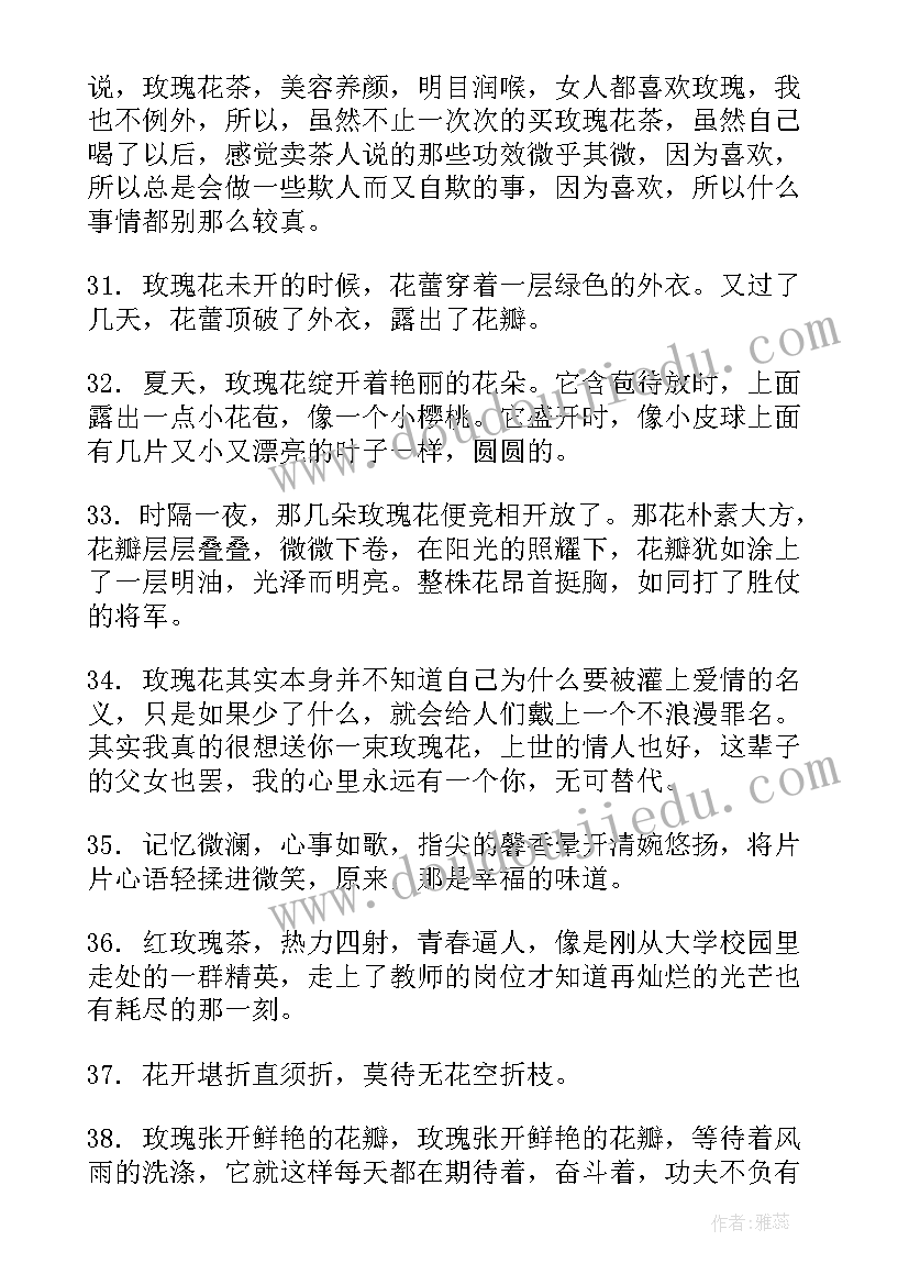 2023年描述玫瑰花励志文案(大全16篇)