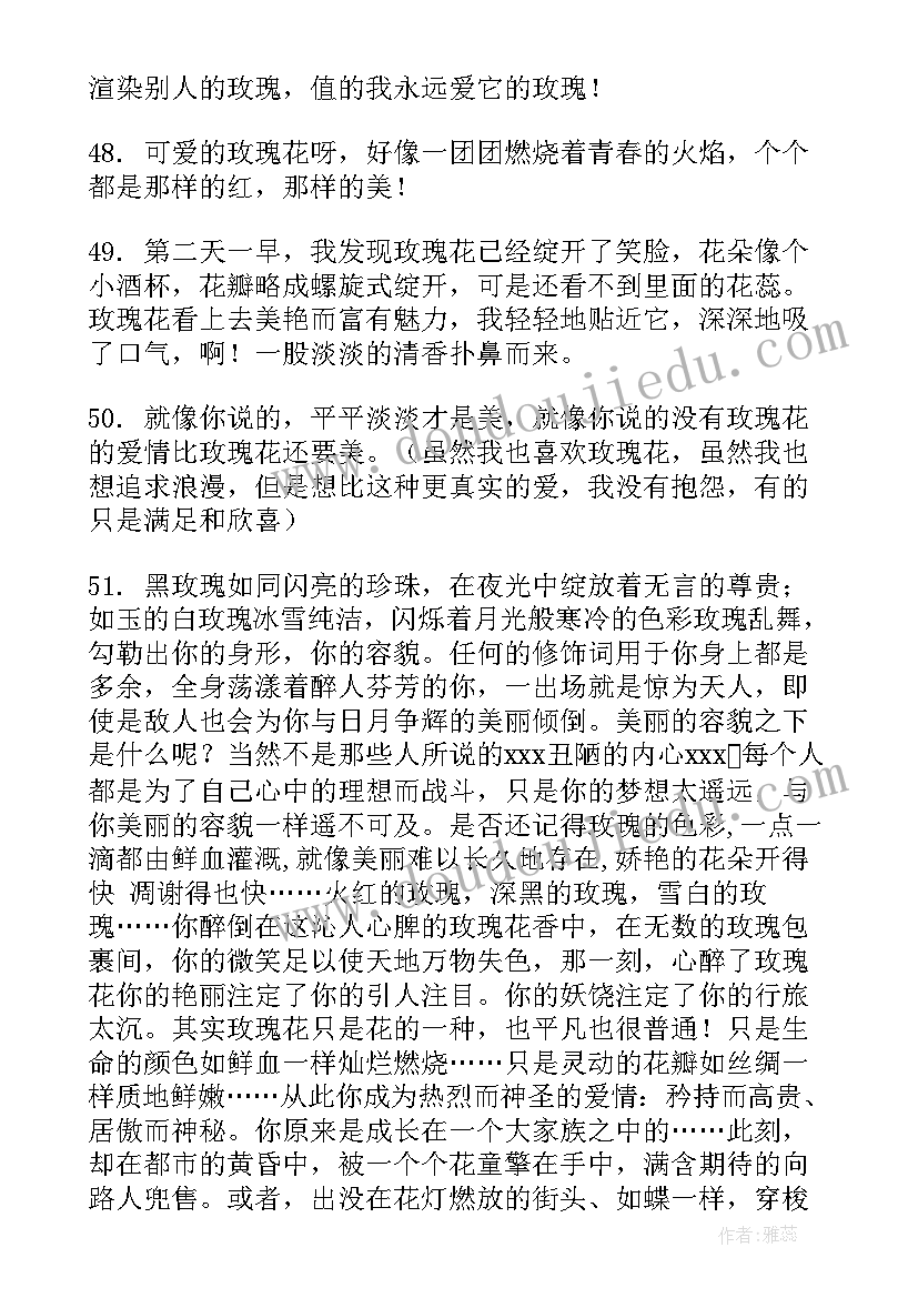 2023年描述玫瑰花励志文案(大全16篇)