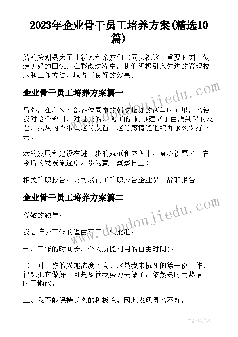 2023年企业骨干员工培养方案(精选10篇)