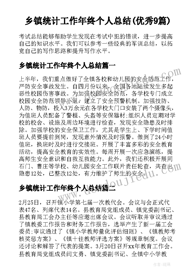 乡镇统计工作年终个人总结(优秀9篇)