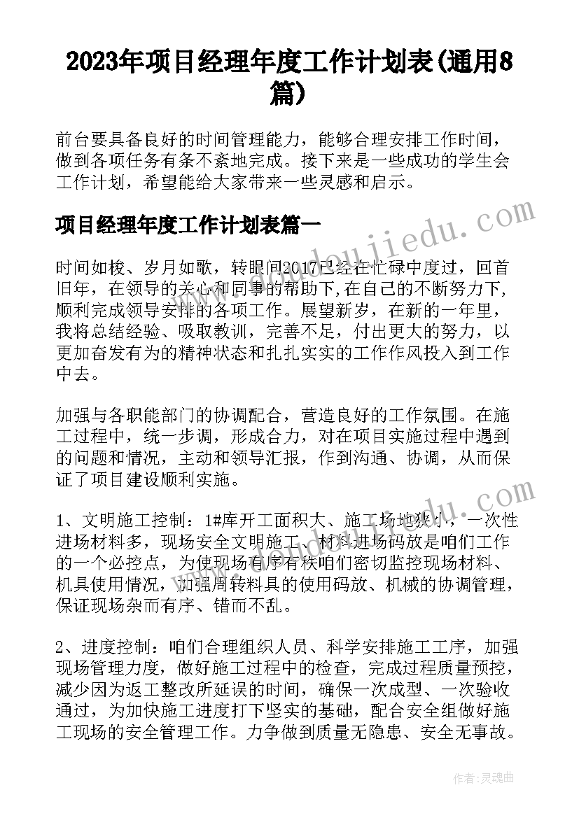 2023年项目经理年度工作计划表(通用8篇)