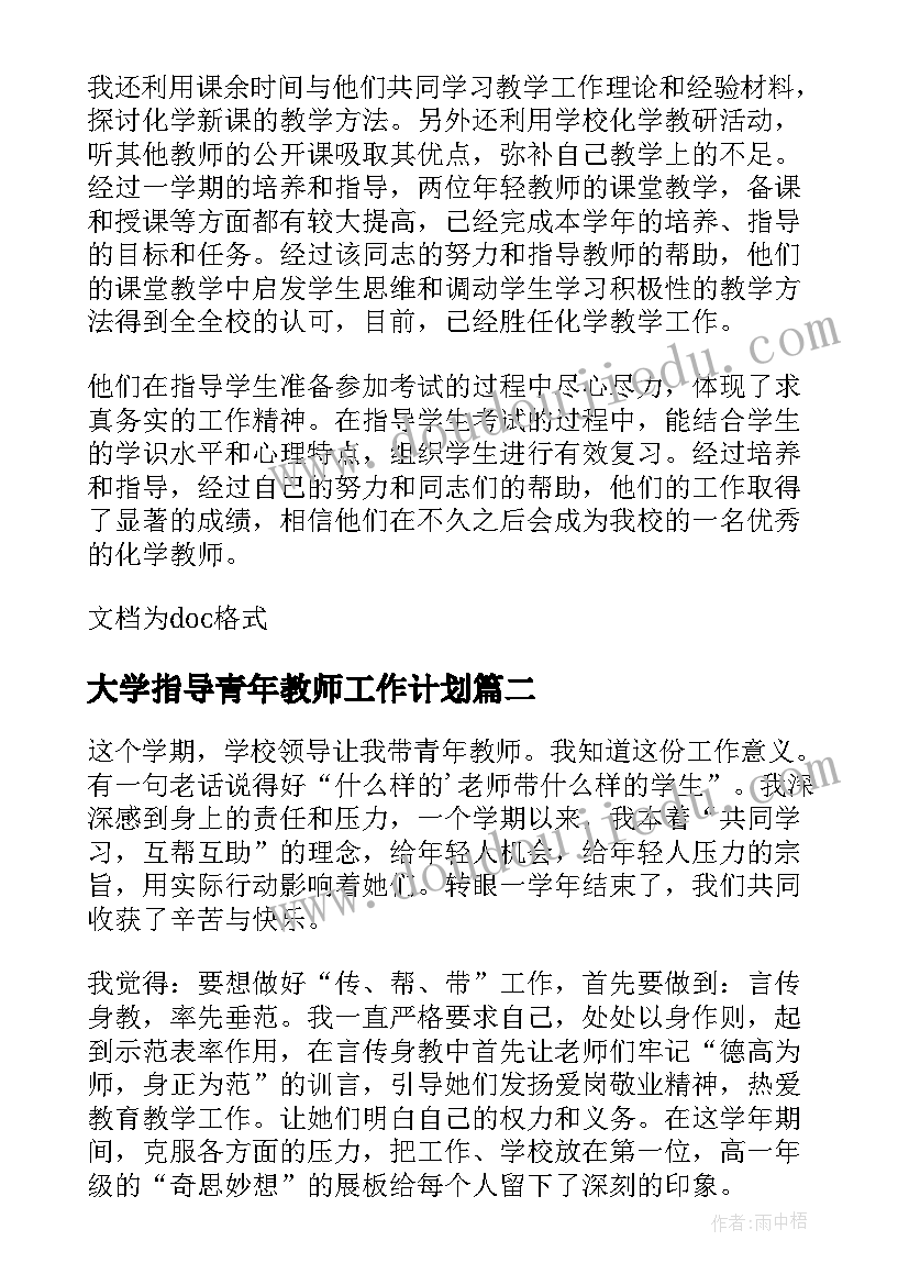 大学指导青年教师工作计划 指导培养青年教师总结(大全7篇)