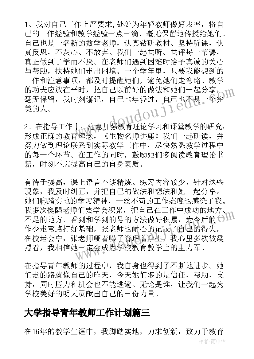 大学指导青年教师工作计划 指导培养青年教师总结(大全7篇)