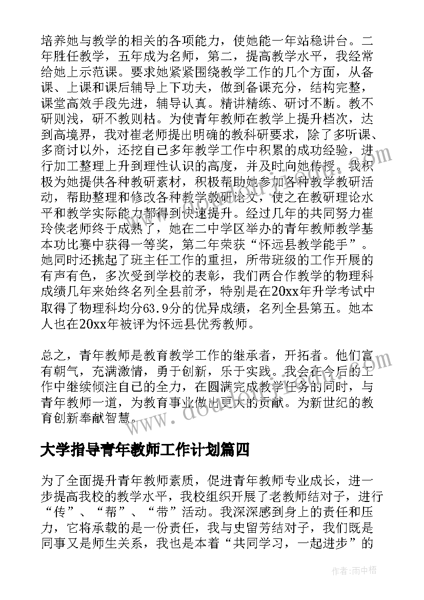 大学指导青年教师工作计划 指导培养青年教师总结(大全7篇)