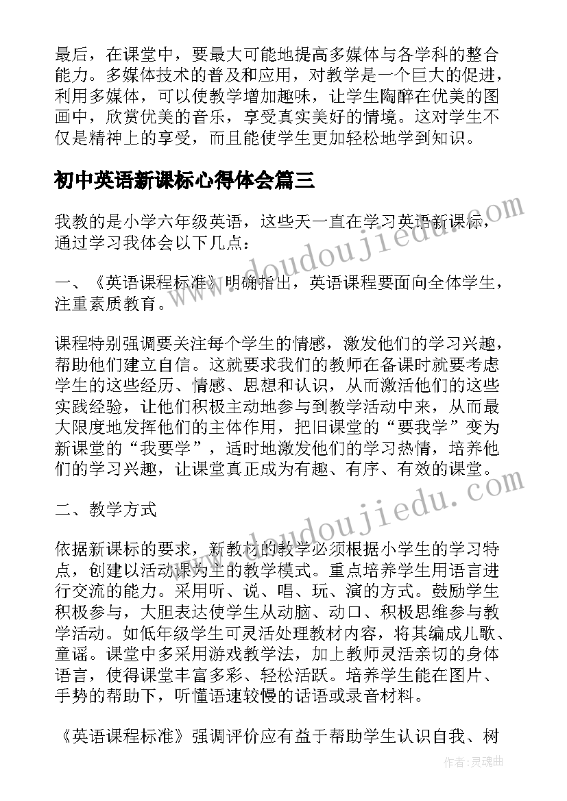 2023年初中英语新课标心得体会(实用11篇)