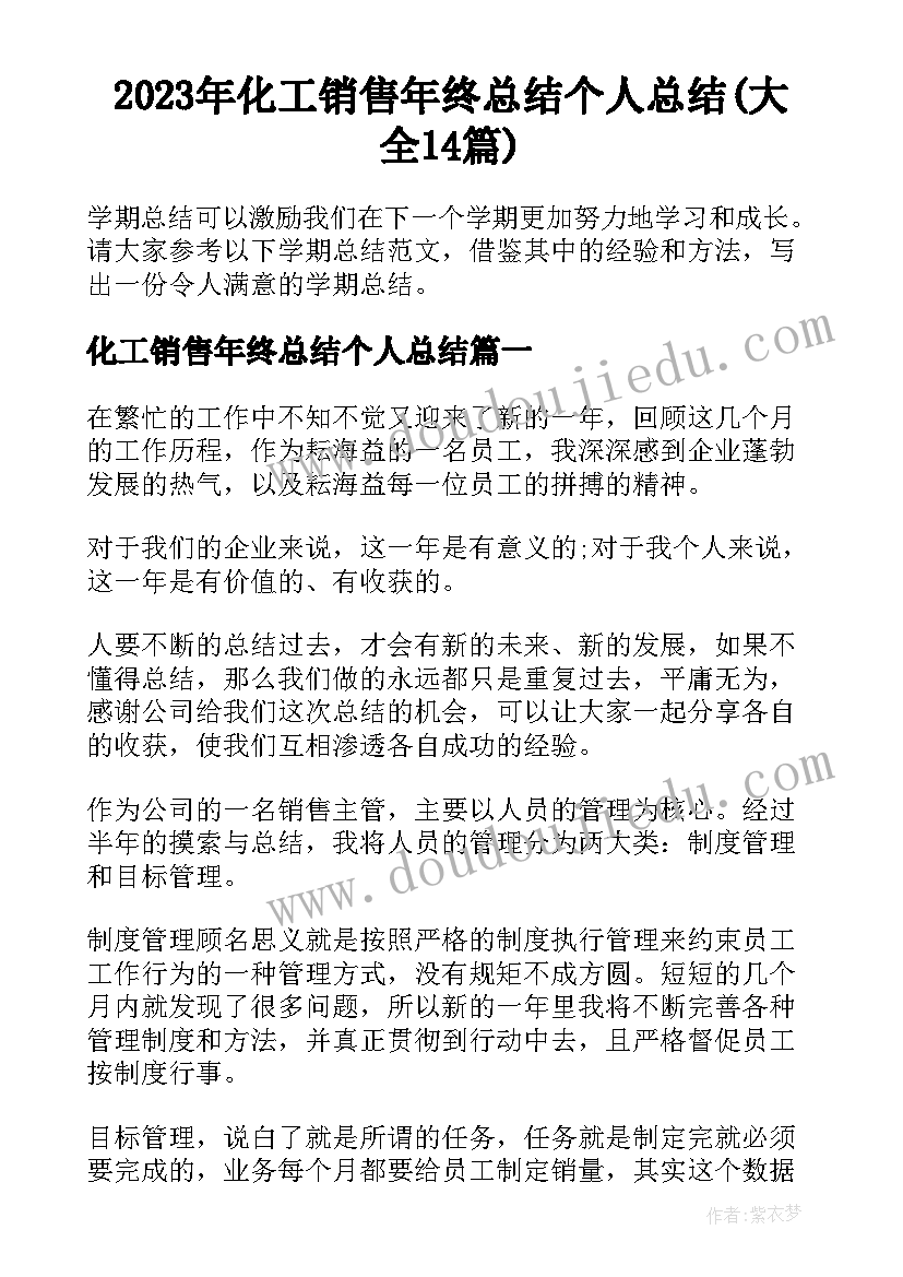 2023年化工销售年终总结个人总结(大全14篇)