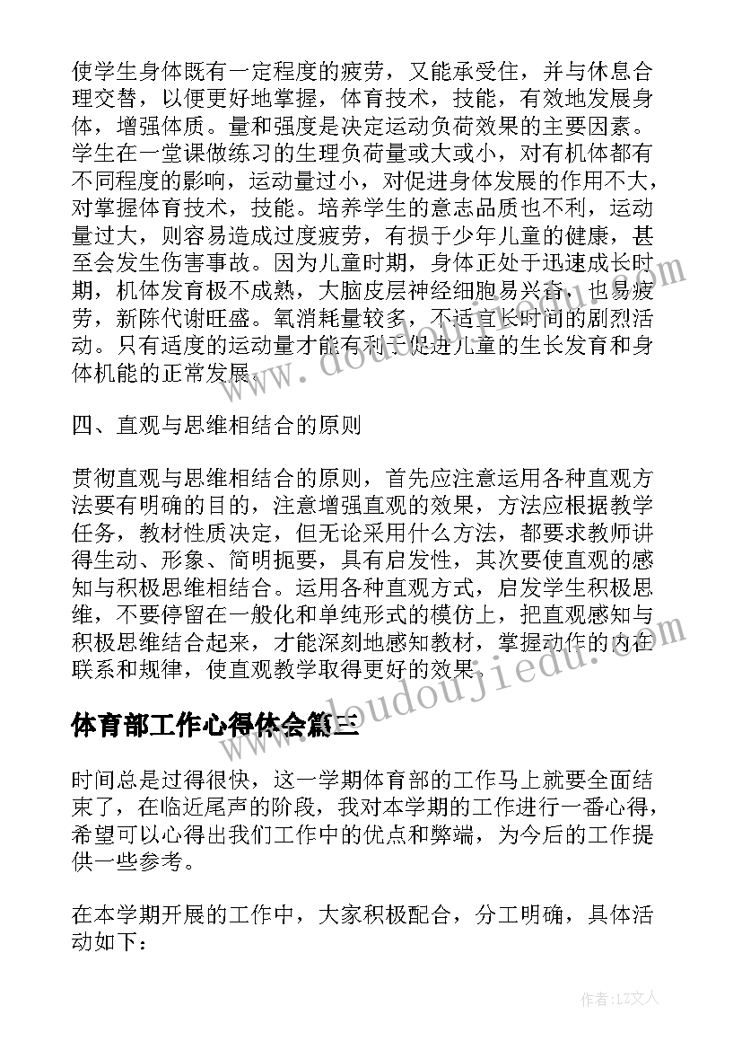 2023年体育部工作心得体会(优质8篇)