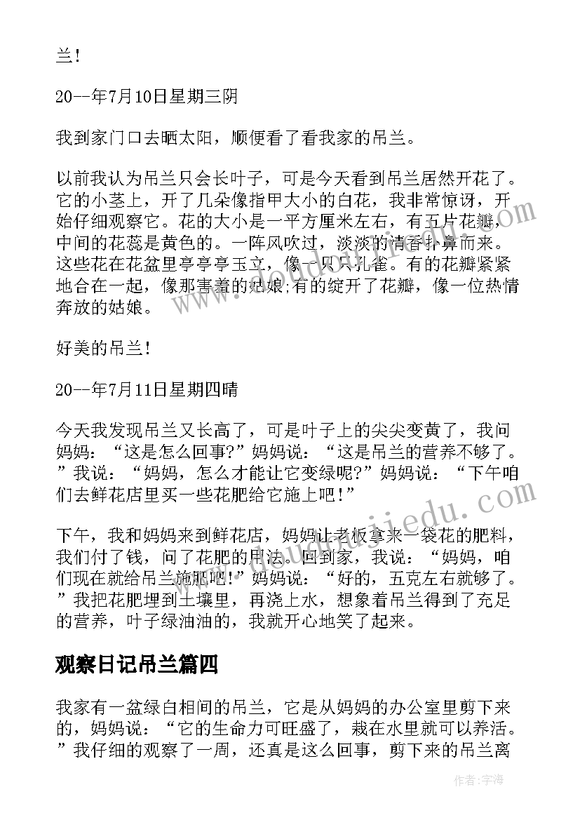 2023年观察日记吊兰(通用8篇)