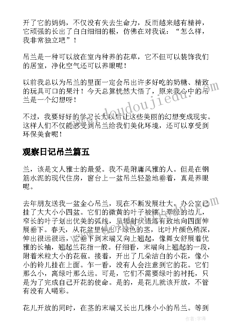 2023年观察日记吊兰(通用8篇)