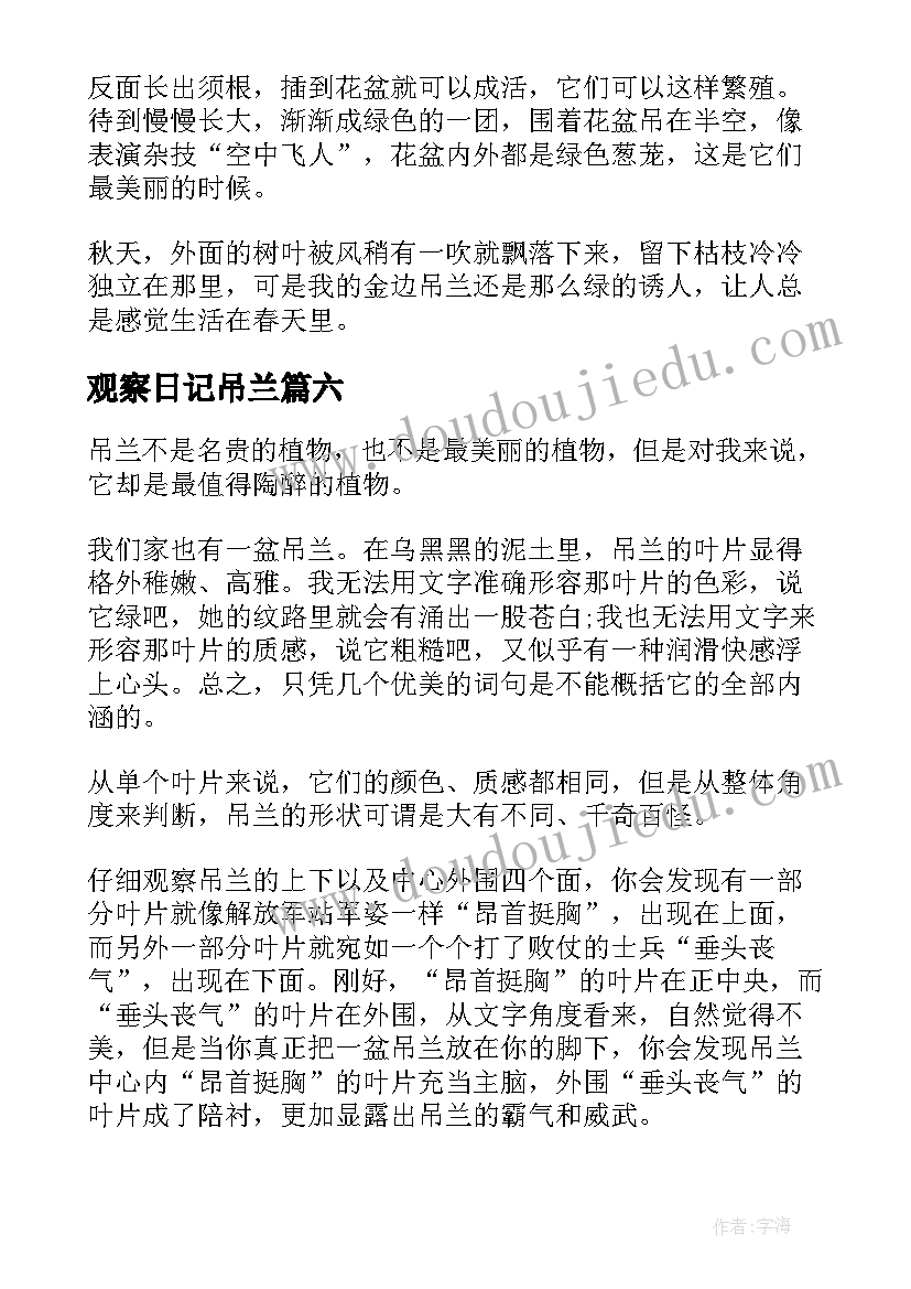 2023年观察日记吊兰(通用8篇)