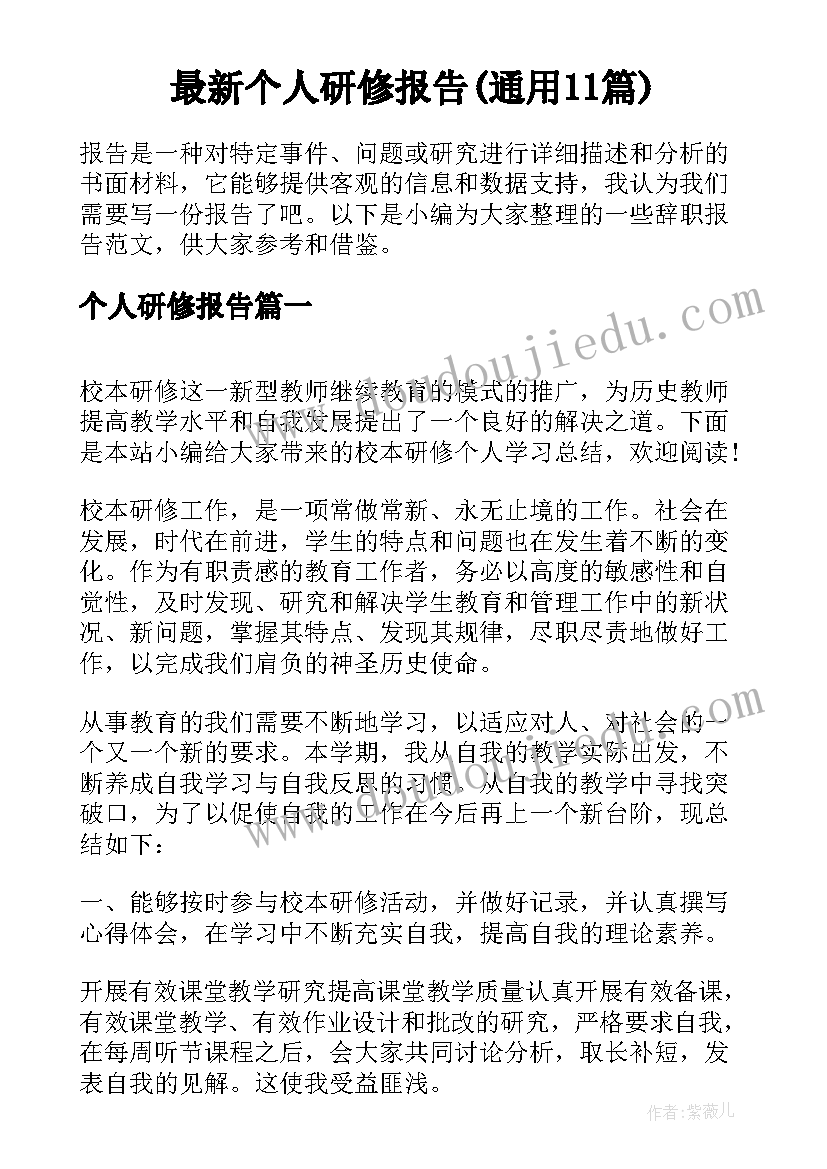 最新个人研修报告(通用11篇)