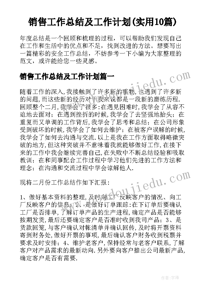 销售工作总结及工作计划(实用10篇)