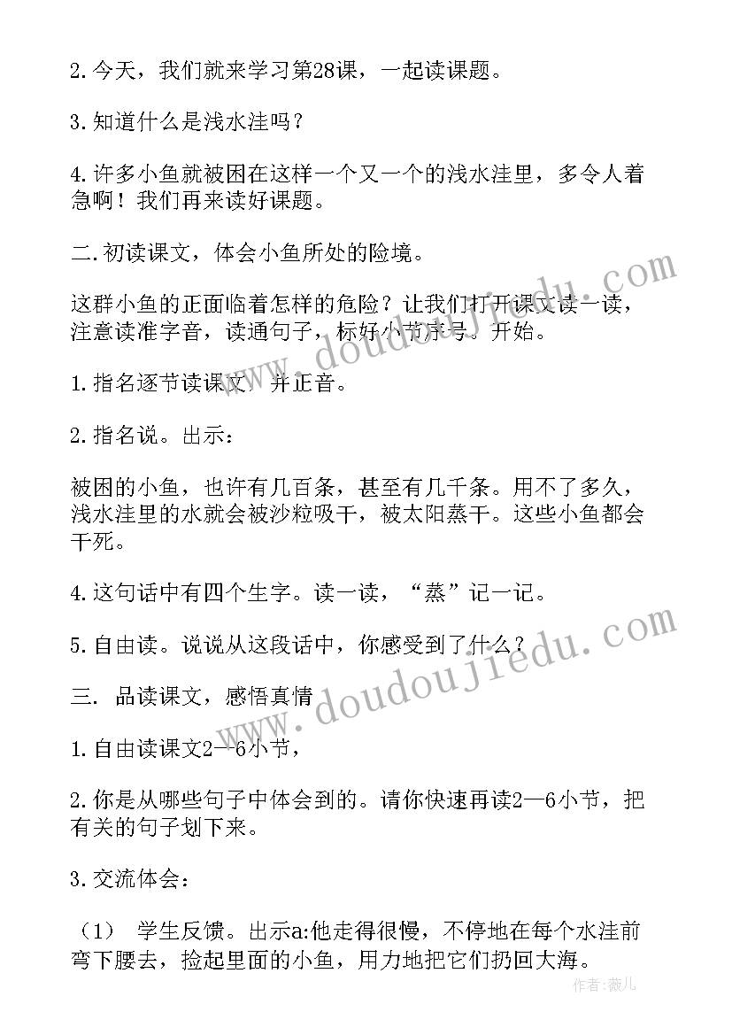 2023年浅水洼里的小鱼教案设计第二课时(模板14篇)