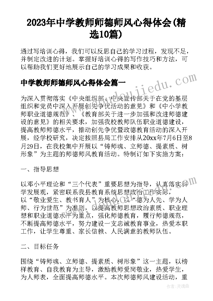 2023年中学教师师德师风心得体会(精选10篇)