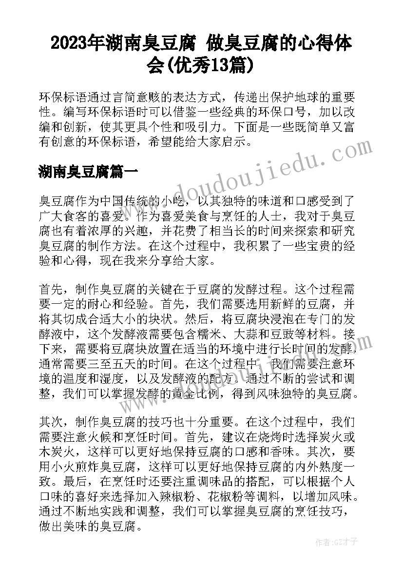 2023年湖南臭豆腐 做臭豆腐的心得体会(优秀13篇)