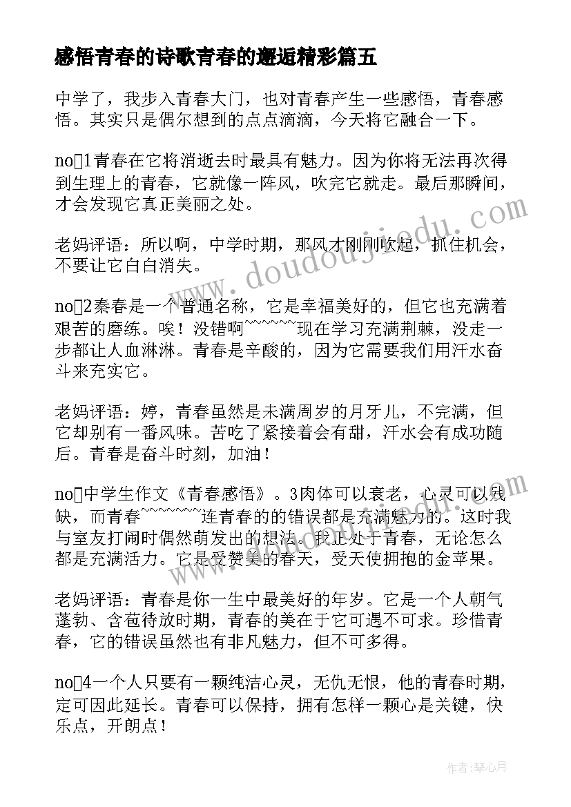 最新感悟青春的诗歌青春的邂逅精彩(汇总8篇)