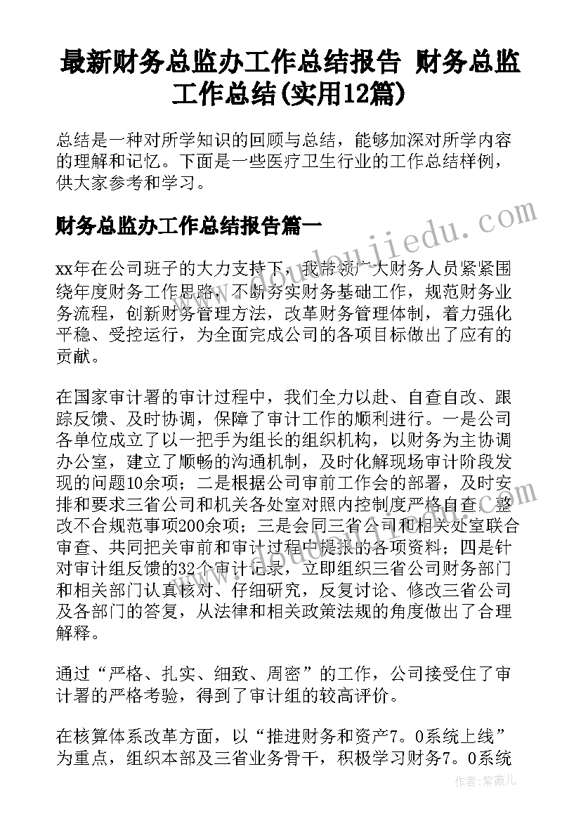 最新财务总监办工作总结报告 财务总监工作总结(实用12篇)