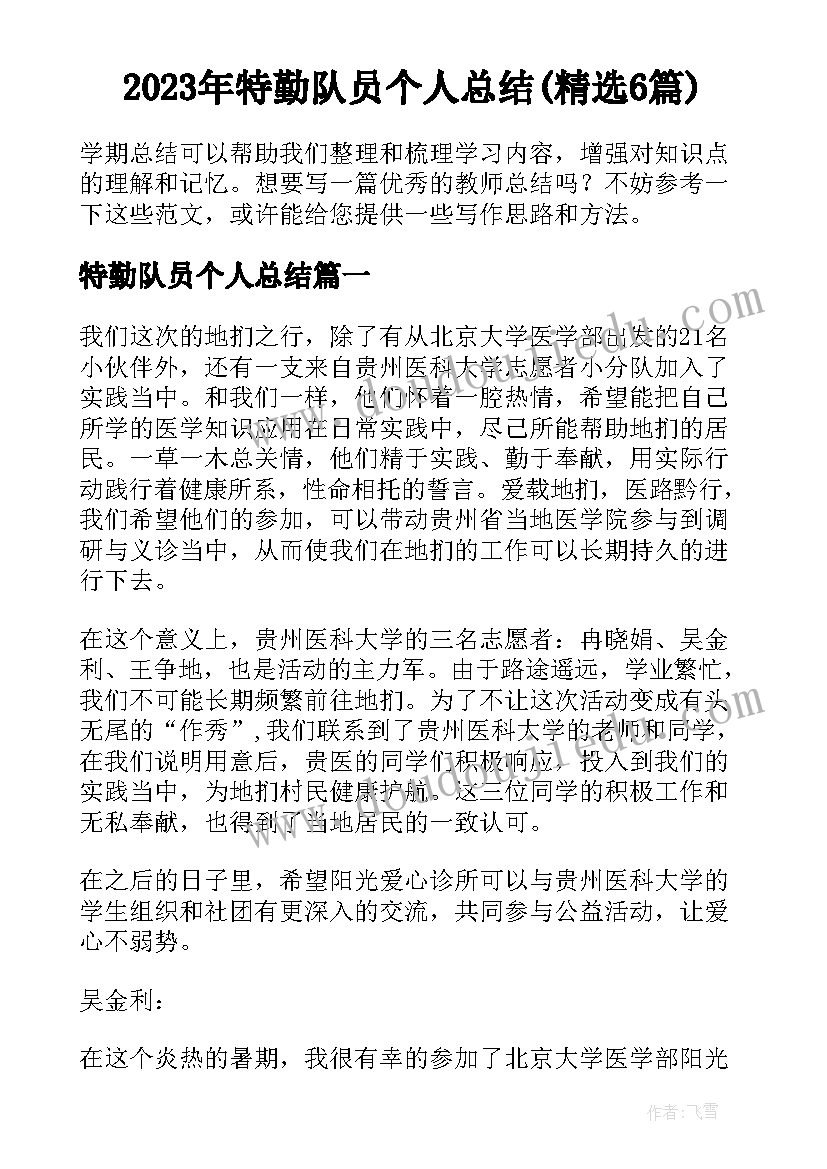 2023年特勤队员个人总结(精选6篇)