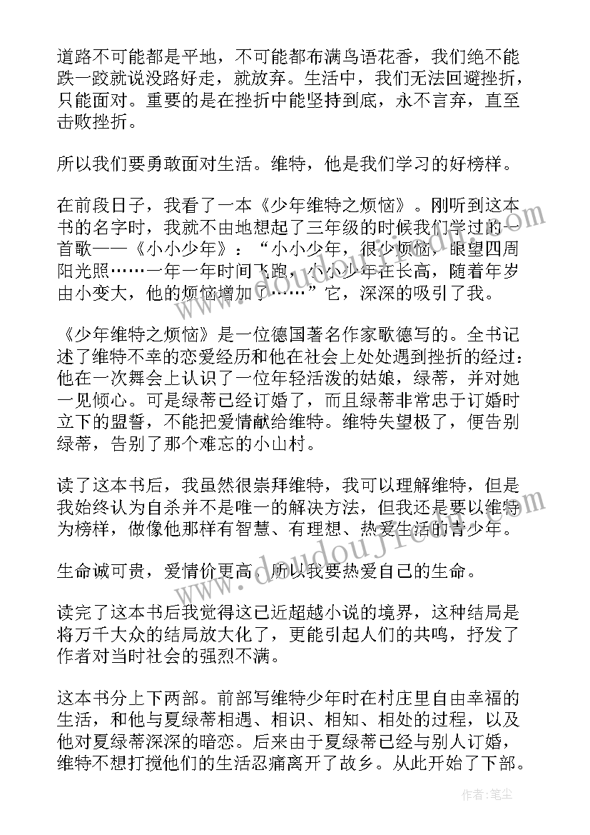 最新少年维特的烦恼读书笔记 少年维特之烦恼读书笔记心得(优质13篇)