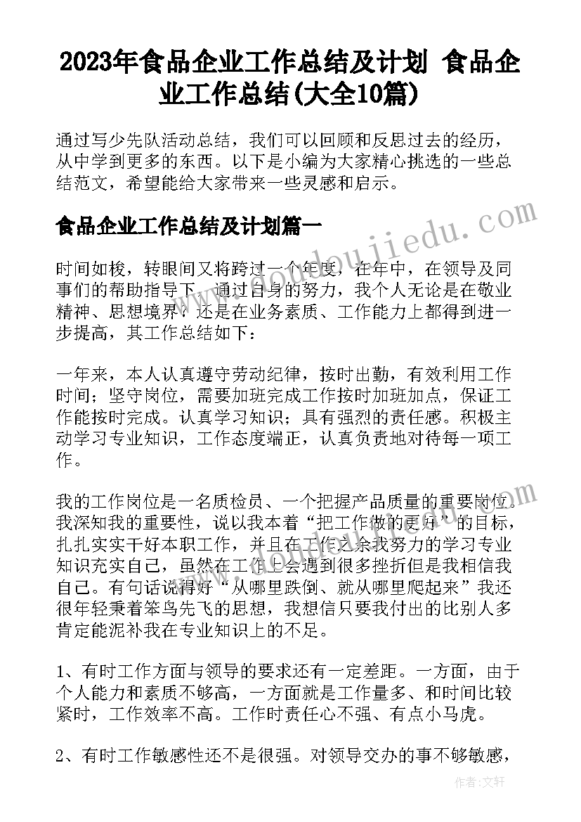 2023年食品企业工作总结及计划 食品企业工作总结(大全10篇)