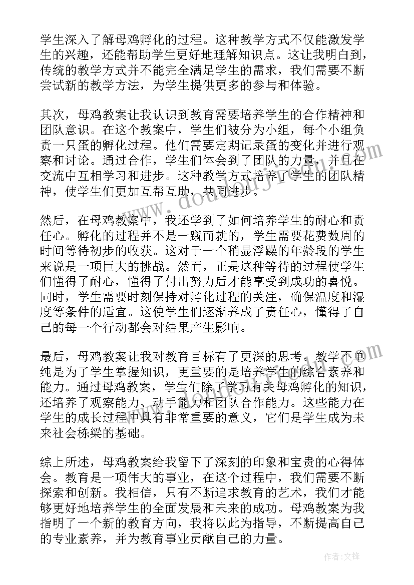 最新母鸡教案四年级 母鸡教案心得体会(大全12篇)