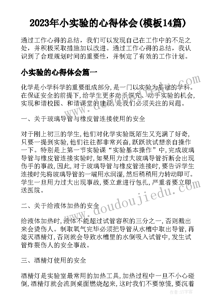 2023年小实验的心得体会(模板14篇)