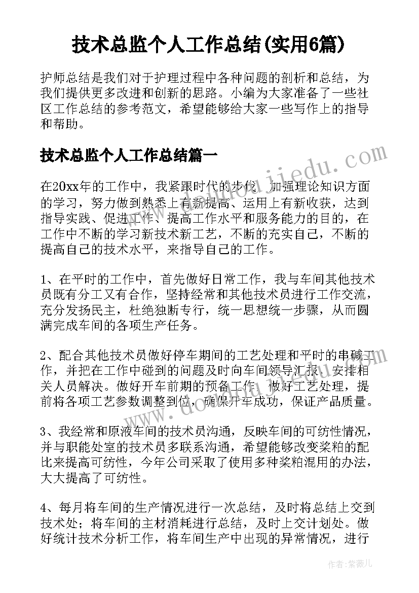 技术总监个人工作总结(实用6篇)