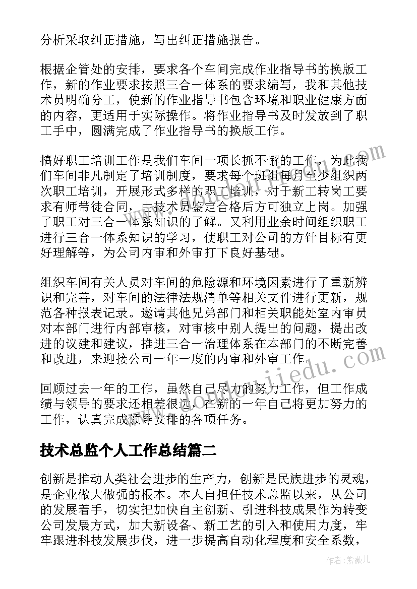 技术总监个人工作总结(实用6篇)