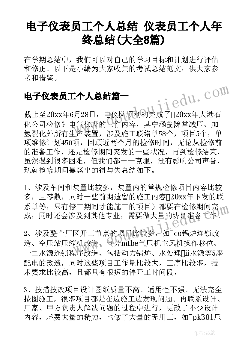 电子仪表员工个人总结 仪表员工个人年终总结(大全8篇)