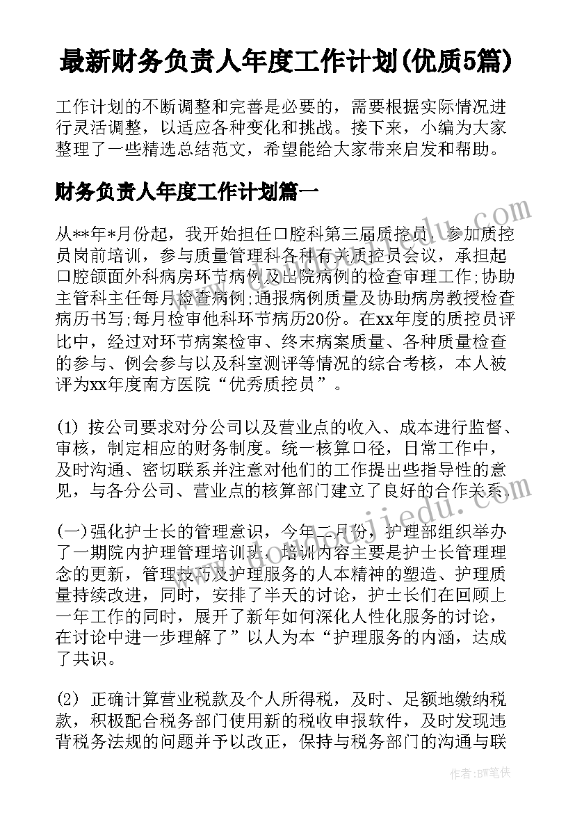 最新财务负责人年度工作计划(优质5篇)