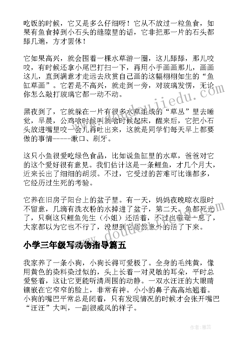 小学三年级写动物指导 保护动物演讲稿三年级小学(精选20篇)