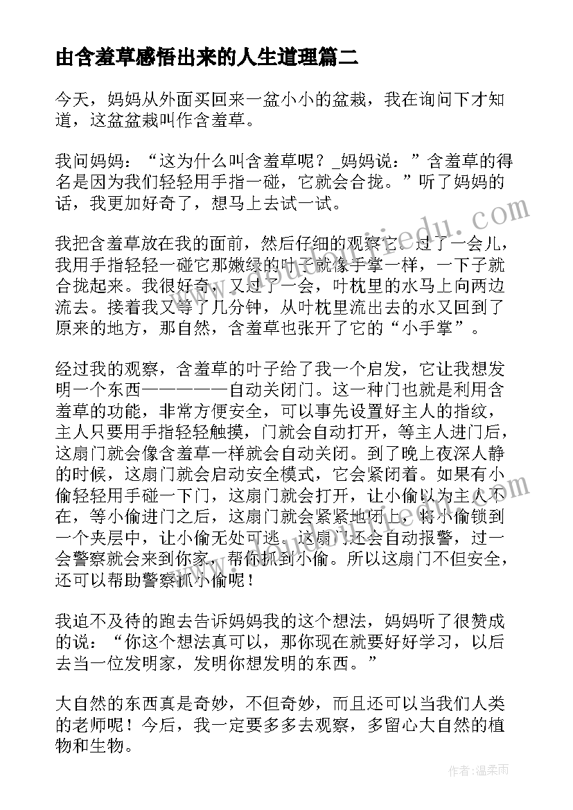 由含羞草感悟出来的人生道理(汇总10篇)